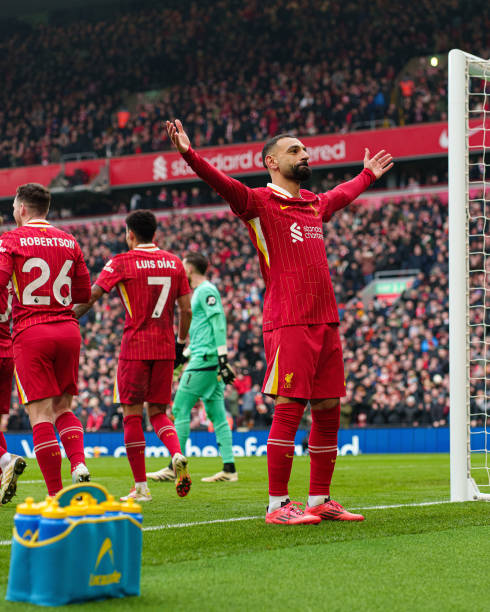 这些泳坛上 这些泳坛上