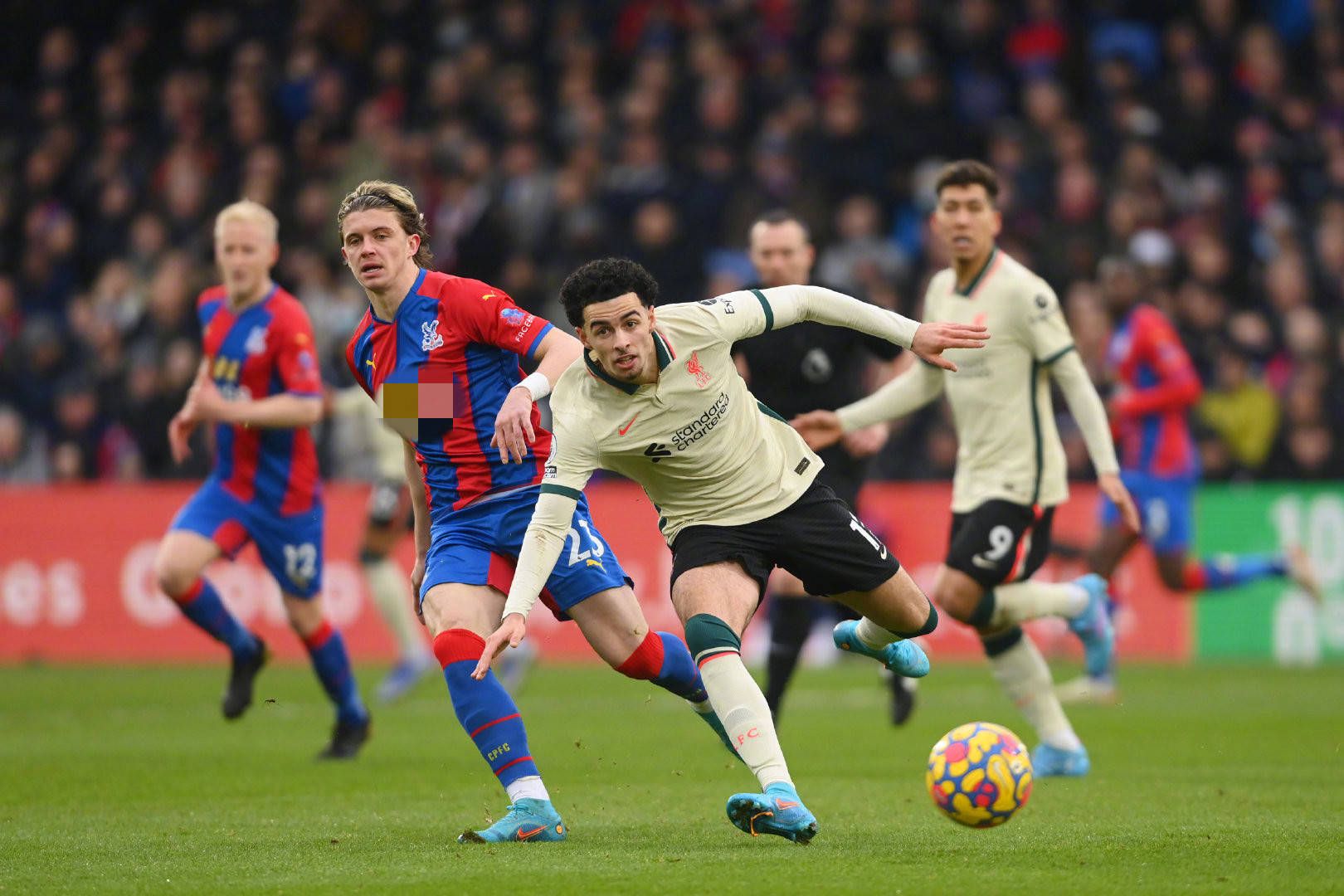 球员受伤的 球员受伤的